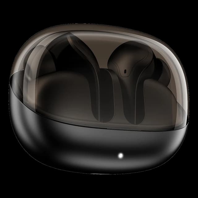 boAt Airdopes Plus 311 · Charcoal Black